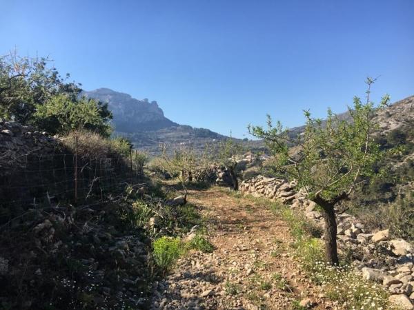 Terreno en Cv-714, km 2, Vall de Gallinera thumbnail 2