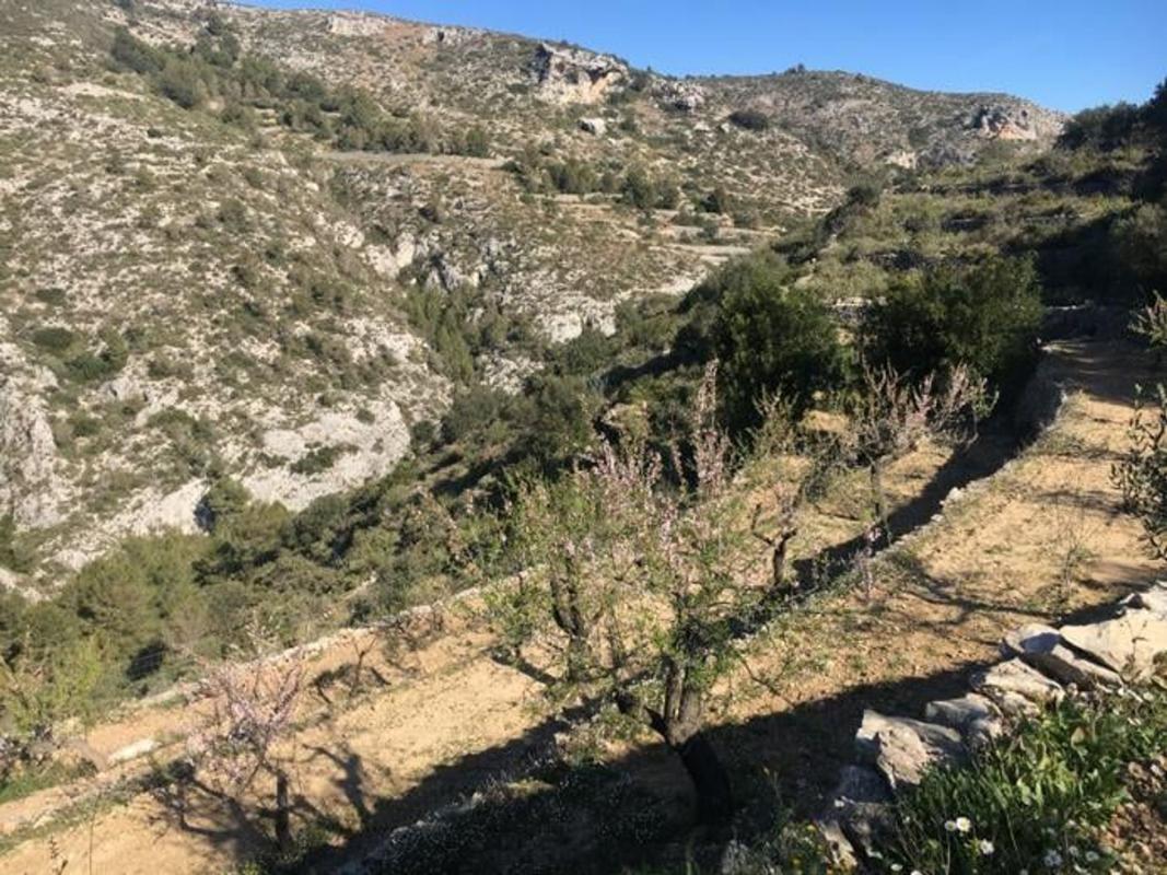 Terreno en venta en Vall de Gallinera, Alicante photo 3