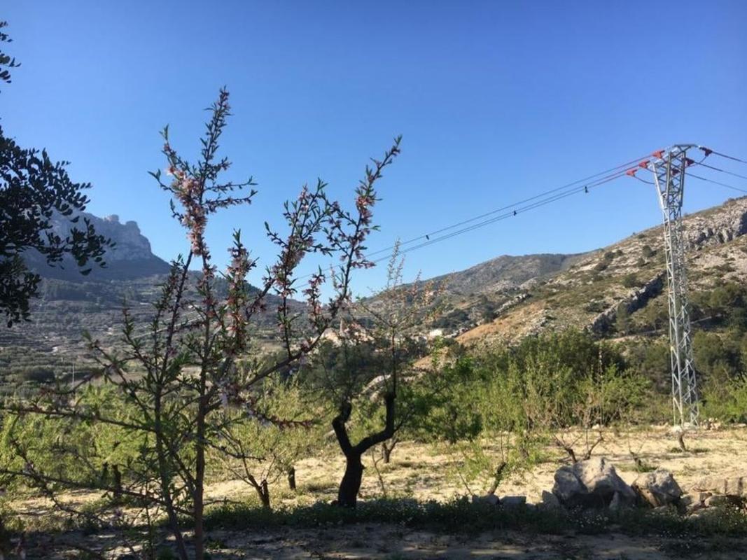 Terreno en venta en Vall de Gallinera, Alicante photo 5