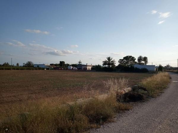 Terreno en Algoda-Matola-Llano de San José, Elche / Elx thumbnail 2