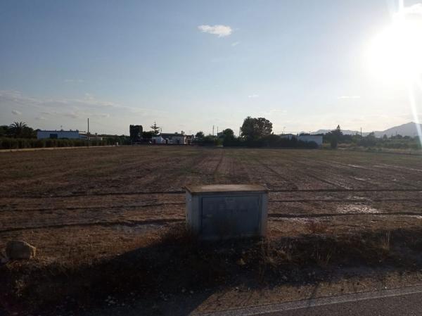 Terreno en Algoda-Matola-Llano de San José, Elche / Elx thumbnail 3