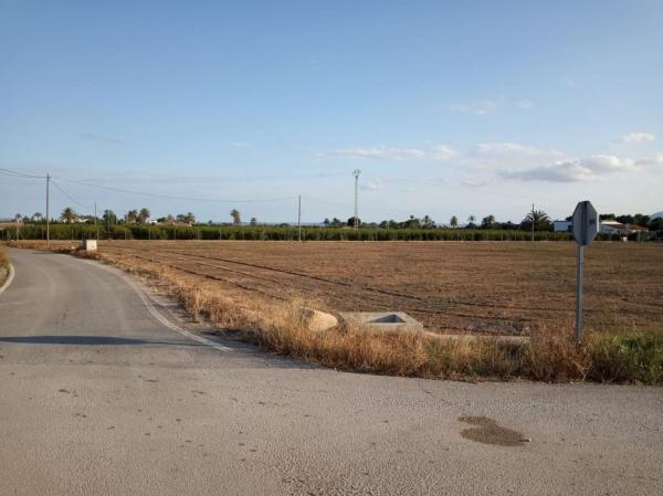 Terreno en Algoda-Matola-Llano de San José, Elche / Elx photo 4