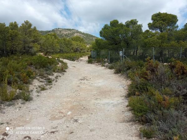 Terreno en Partida Barrinada s/n, Torremanzanas thumbnail 2