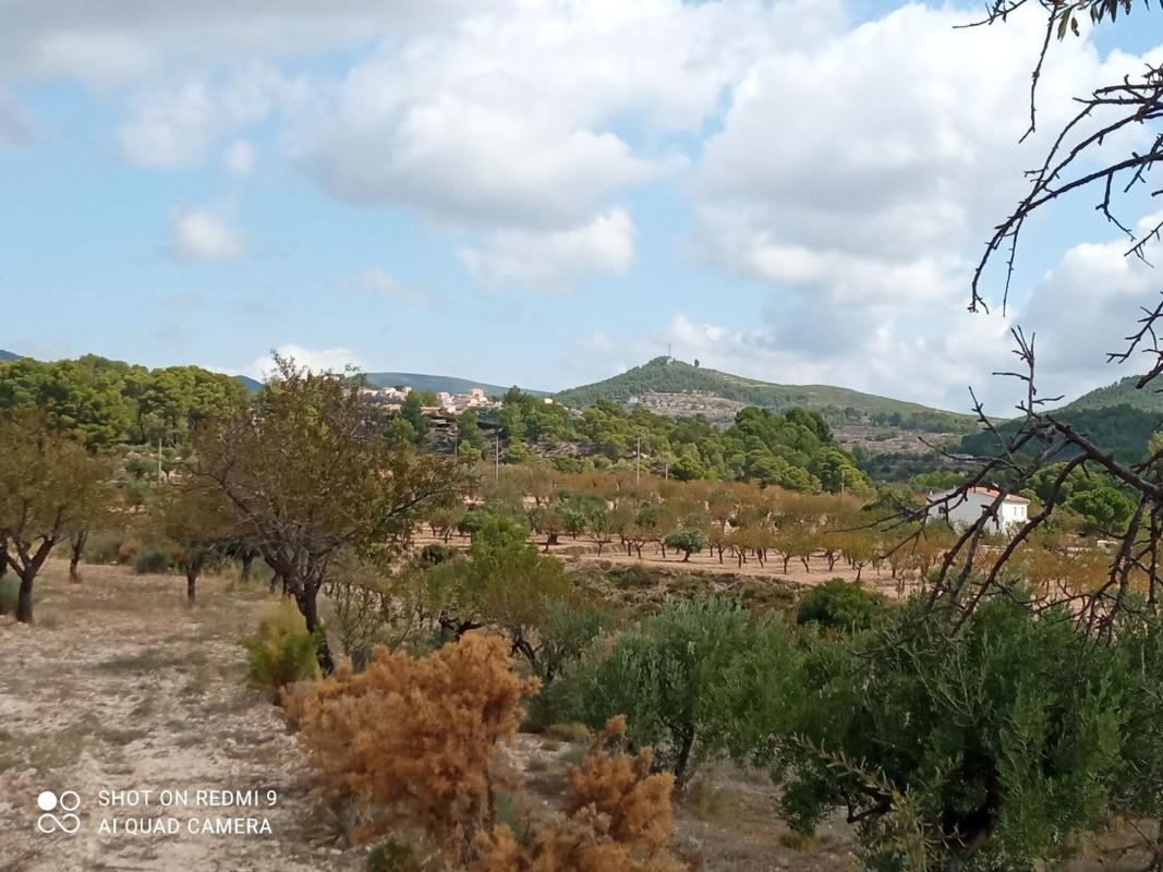 Terreno en venta en Torremanzanas, Alicante photo 3