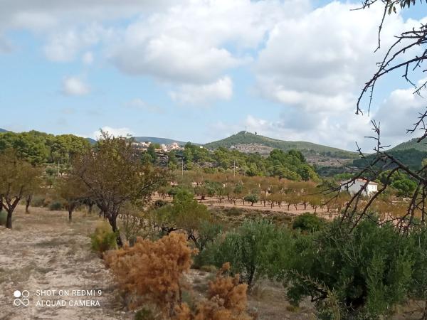 Terreno en Partida Barrinada s/n, Torremanzanas thumbnail 3