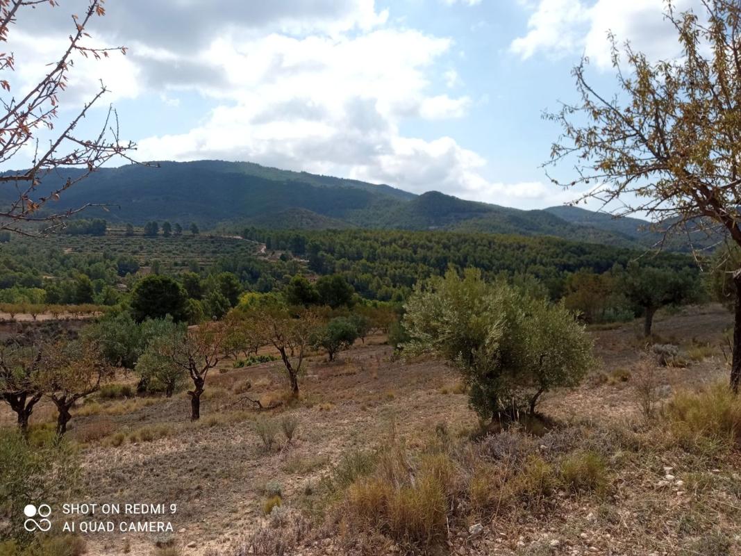 Terreno en venta en Torremanzanas, Alicante photo 4