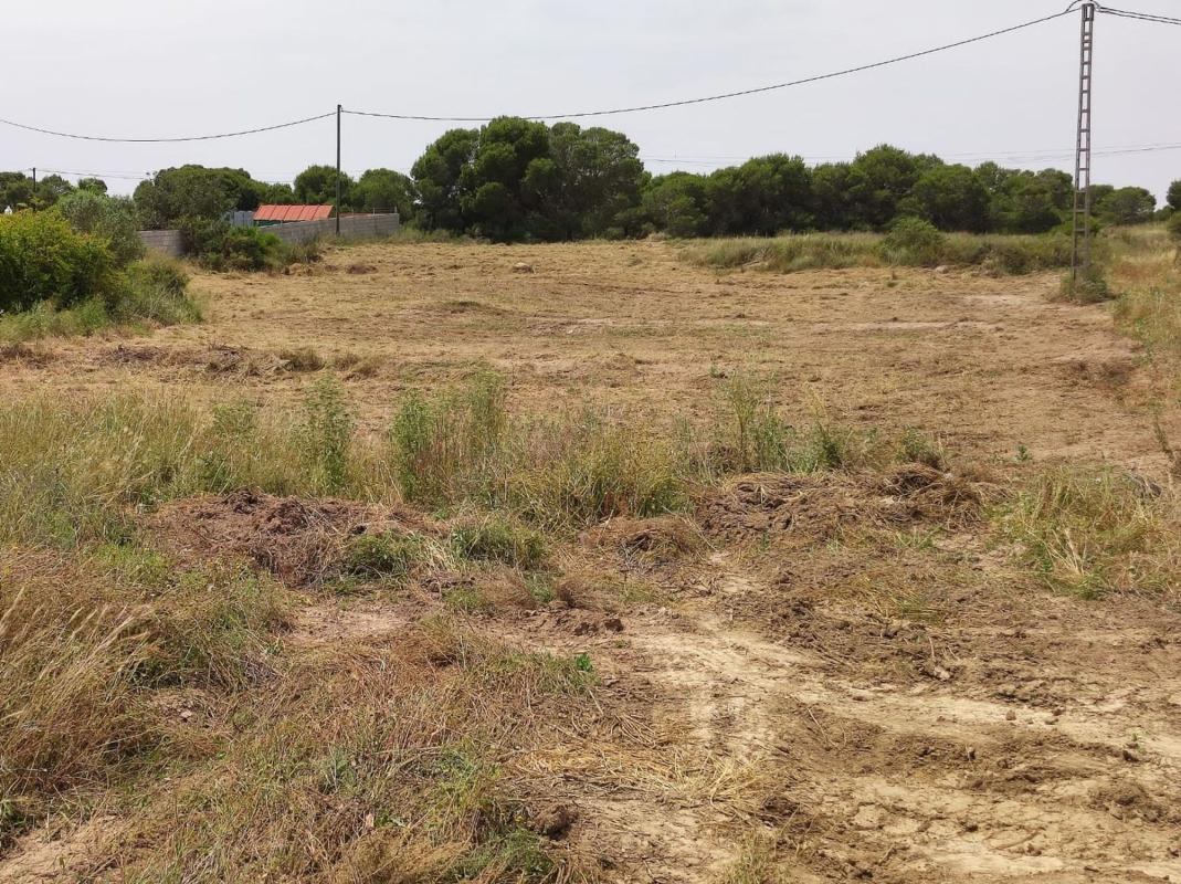 Terreno en venta en Elche / Elx, Alicante photo 1