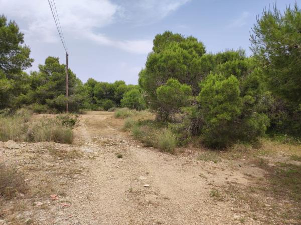 Terreno en Partida de La Vallverda Alta Polígono 122 Parcel.la 222, 222, Valverde, Elche / Elx photo 2