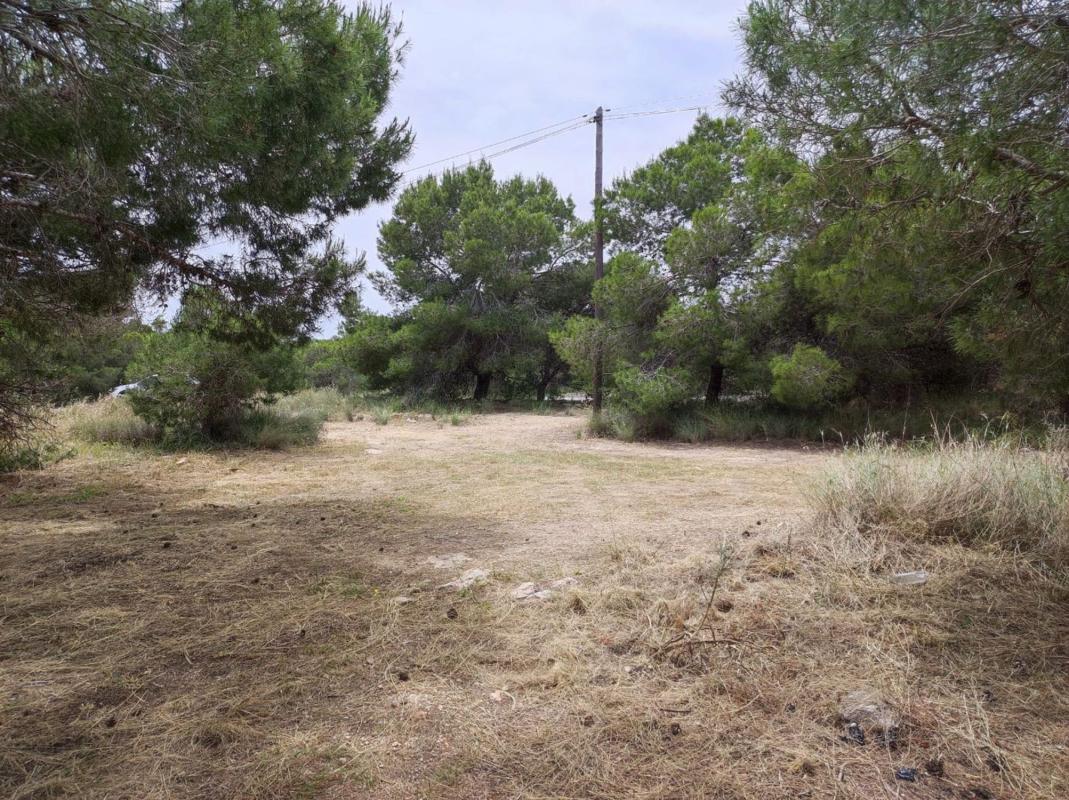 Terreno en venta en Elche / Elx, Alicante photo 5