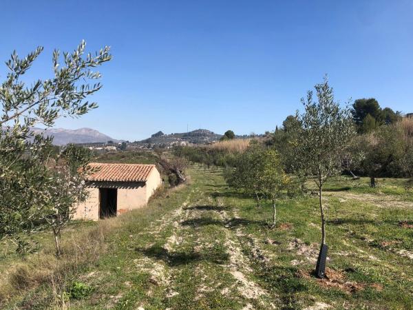 Terreno en Camino de Secans-Trilles s/n, Cocentaina photo 3