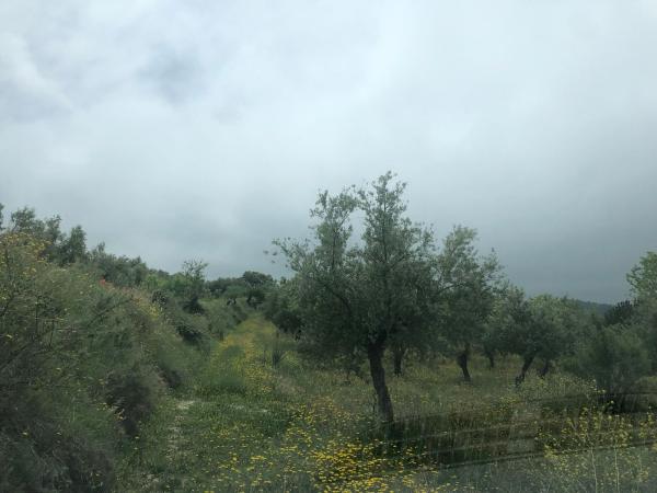 Terreno en Camino de Secans-Trilles s/n, Cocentaina photo 4