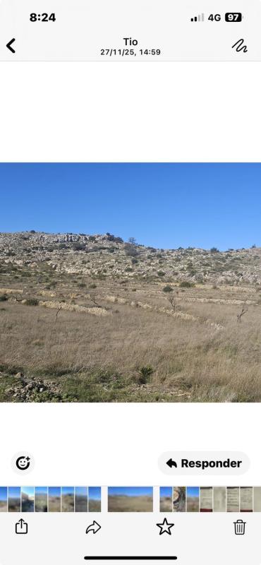 Terreno en venta en Vall de Gallinera, Alicante photo 3