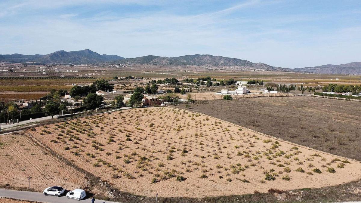 Terreno en venta en Pinoso, Alicante photo 1