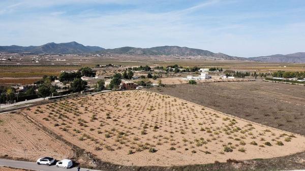 Terreno en Pinoso photo 1