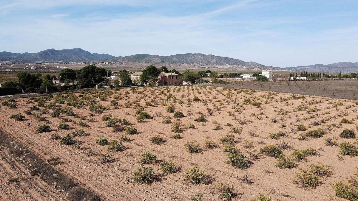 Terreno en venta en Pinoso, Alicante photo 2