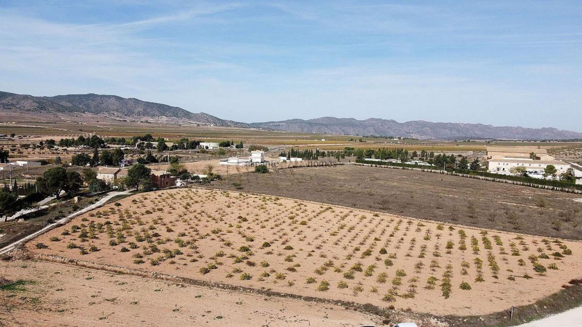 Terreno en venta en Pinoso, Alicante photo 3