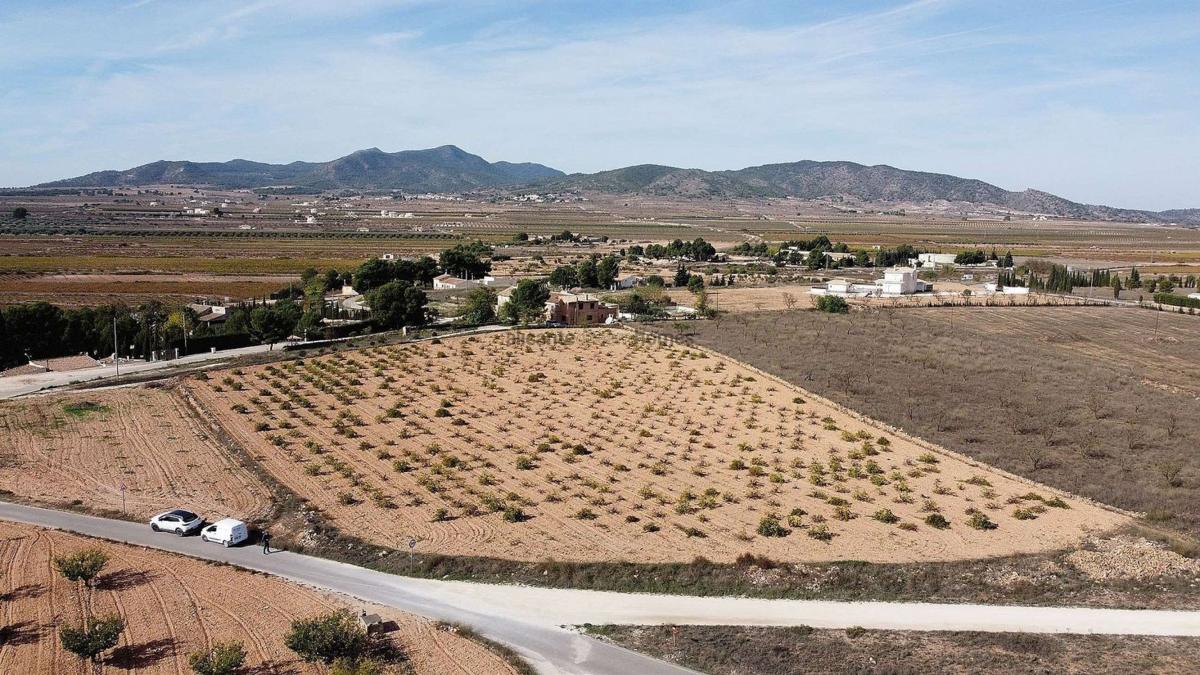 Terreno en venta en Pinoso, Alicante photo 4