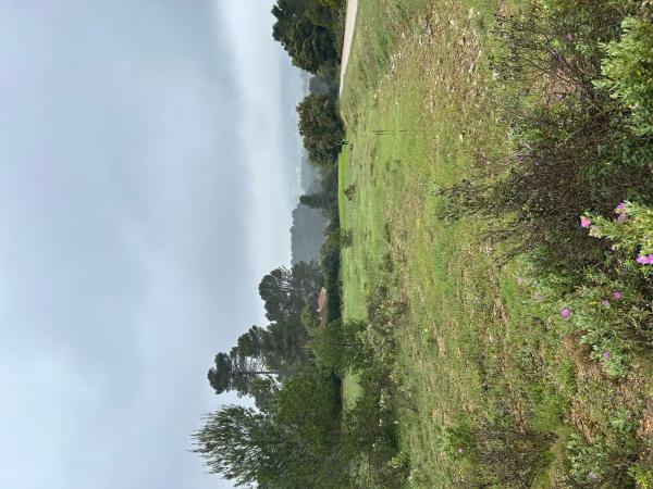 Terreno en Urbanització l'Estepar s/n, Centro - Zona Alta, Alcoy / Alcoi photo 1