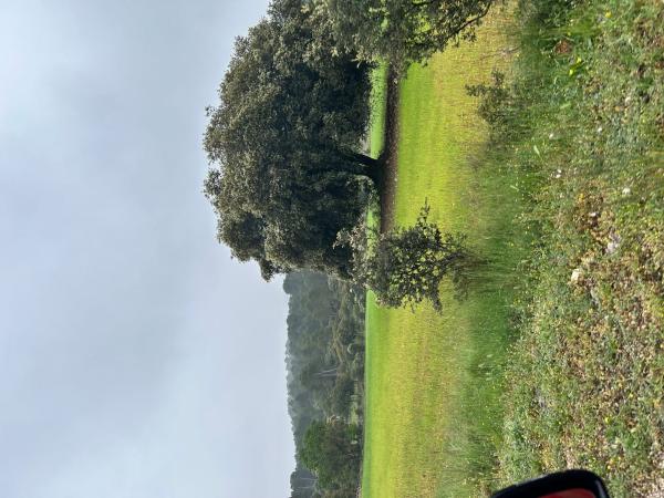 Terreno en Urbanització l'Estepar s/n, Centro - Zona Alta, Alcoy / Alcoi thumbnail 2