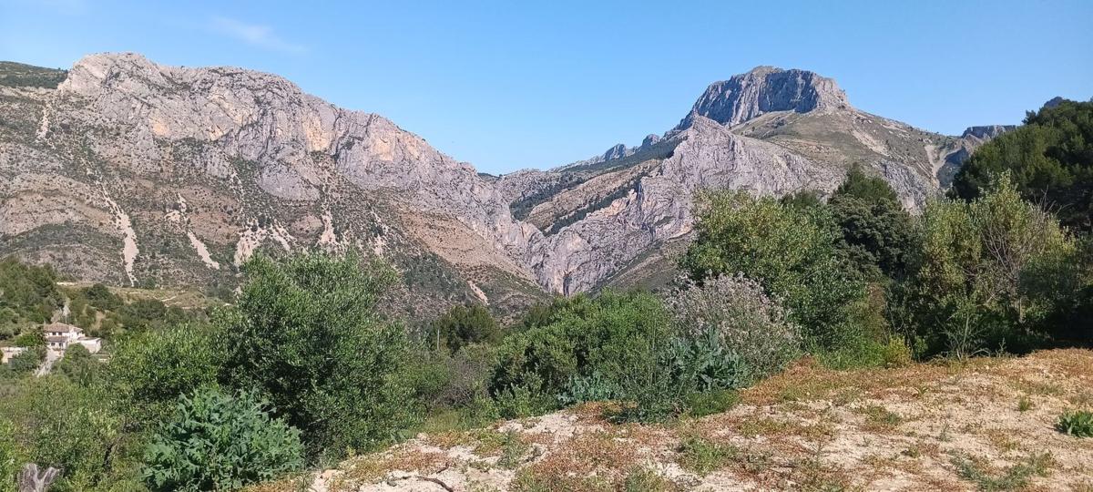 Terreno en venta en Tarbena, Alicante photo 1