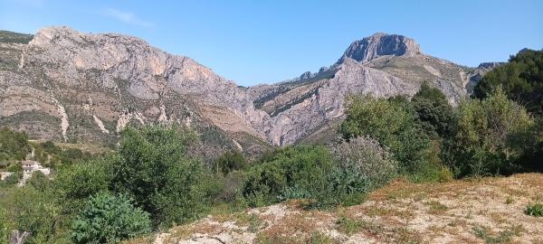 Terreno en Campo s/n, Tarbena photo 1