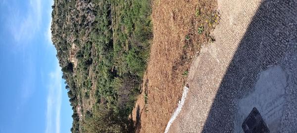 Terreno en Campo s/n, Tarbena thumbnail 3