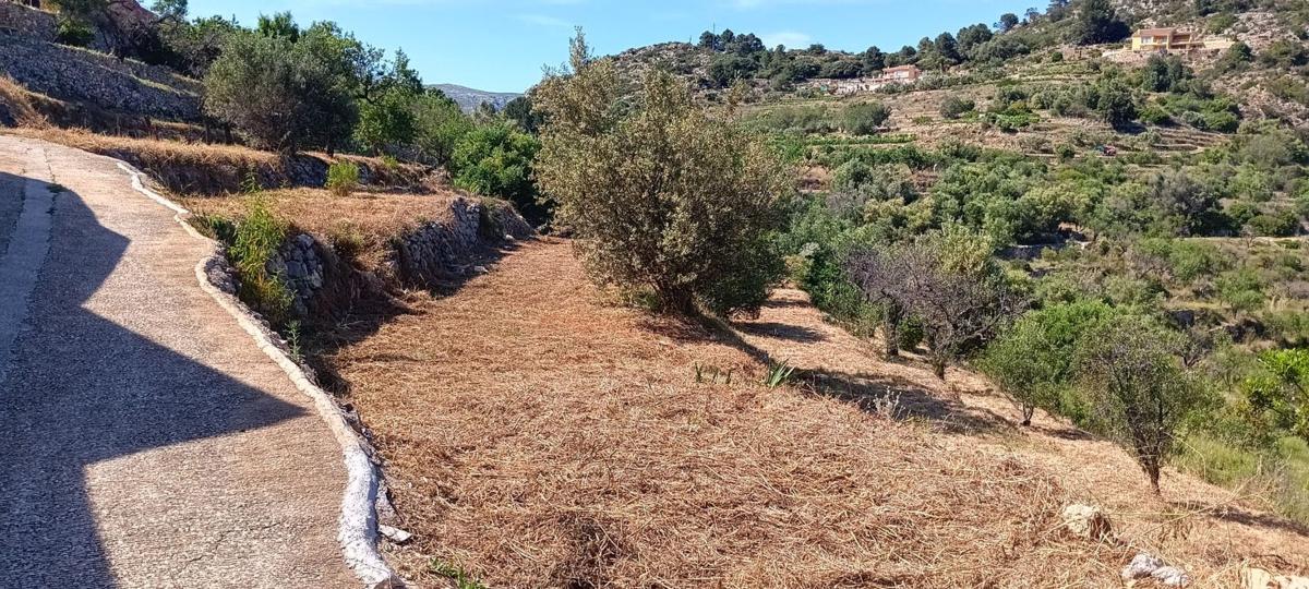 Terreno en venta en Tarbena, Alicante photo 4
