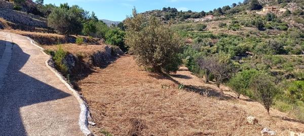Terreno en Campo s/n, Tarbena photo 4