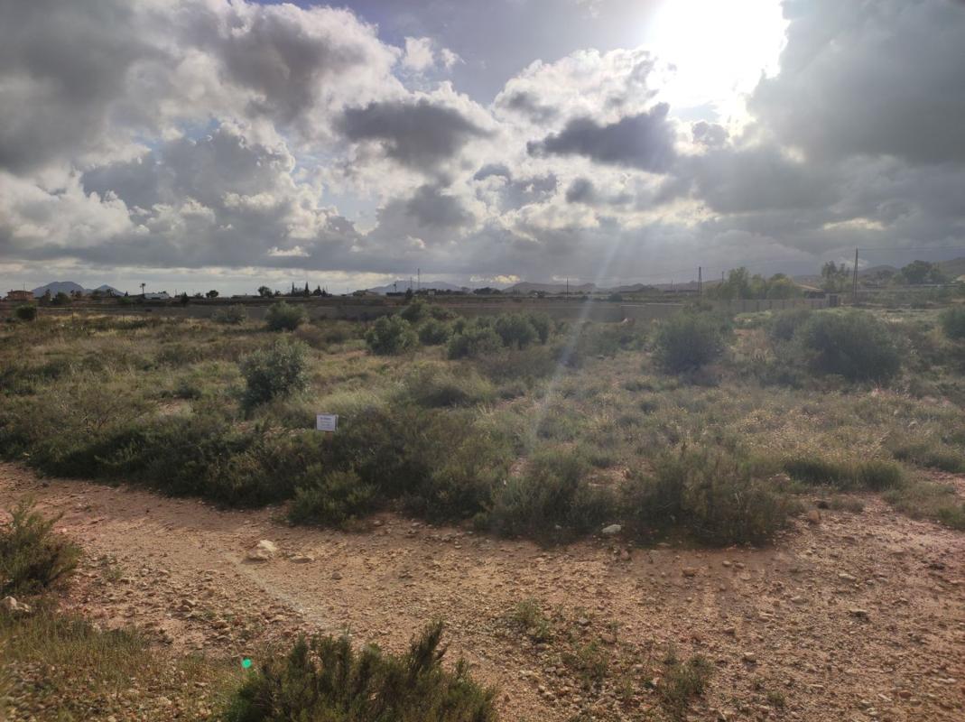 Terreno en venta en Moralet, Alicante photo 1