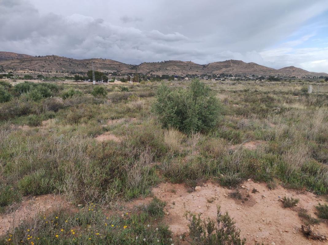 Terreno en venta en Moralet, Alicante photo 5