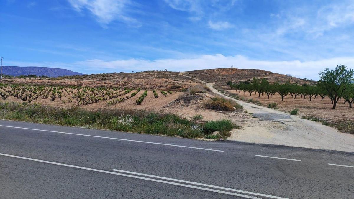 Terreno en venta en Pinoso, Alicante photo 3