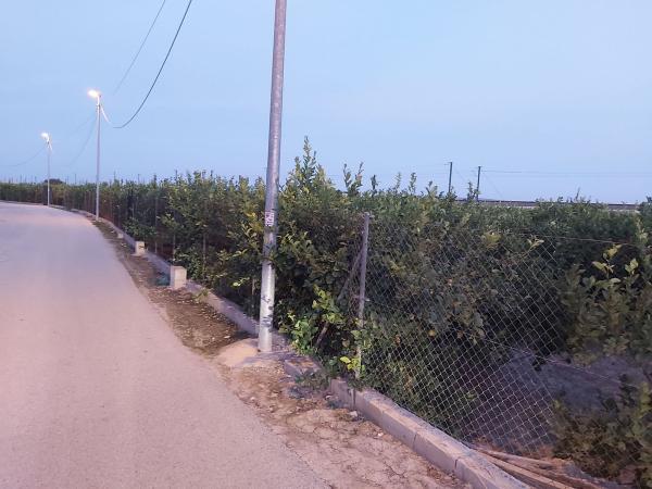 Terreno en Calle media legua s/n, Molins-Campaneta-San Bartolomé, Orihuela photo 1