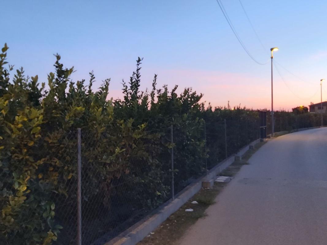 Terreno en venta en Orihuela, Alicante photo 4