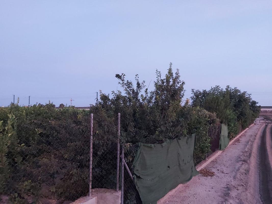 Terreno en venta en Orihuela, Alicante photo 5