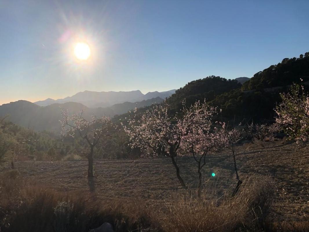 Działka na sprzedaż w Sella, Alicante photo 2