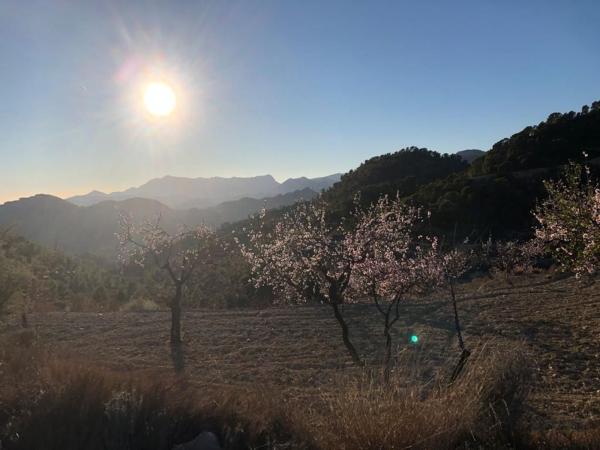 Terreno en Cv-770, km 2, Sella thumbnail 2