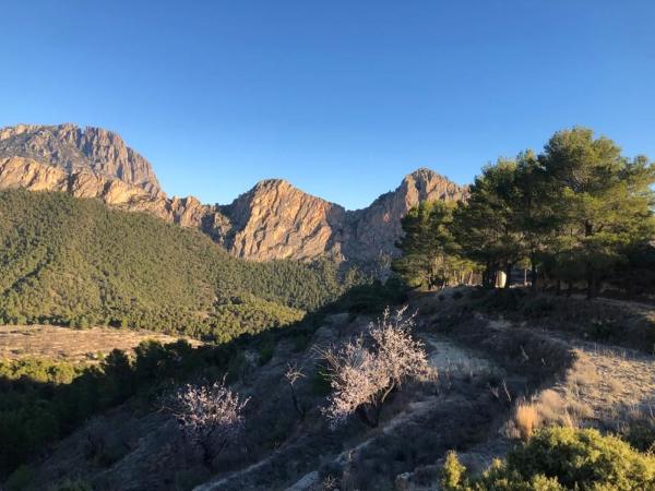 Terreno en Cv-770, km 2, Sella thumbnail 3