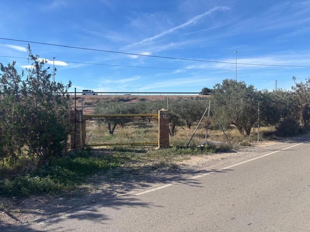 Land for sale in San Vicente del Raspeig, Alicante photo 1