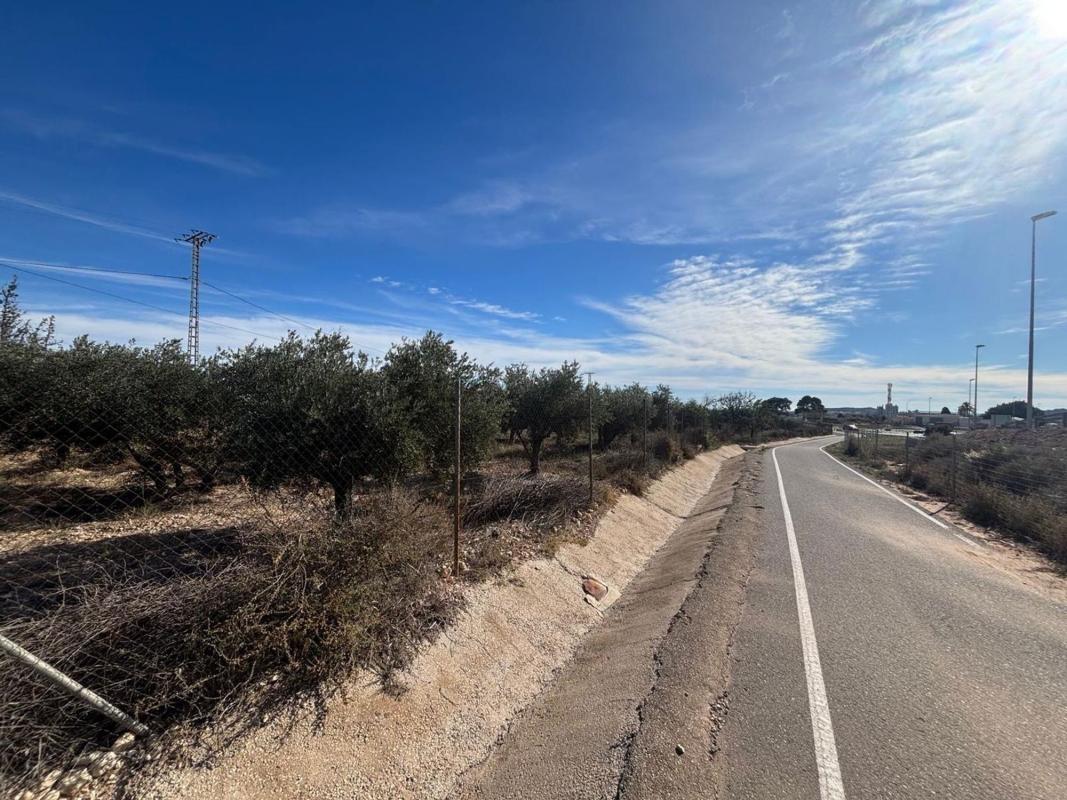 Land for sale in San Vicente del Raspeig, Alicante photo 2