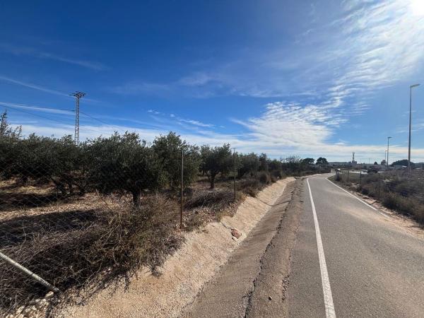 Terreno en Calle del Cartón, 4, Villamontes-Boqueres, San Vicente del Raspeig photo 2