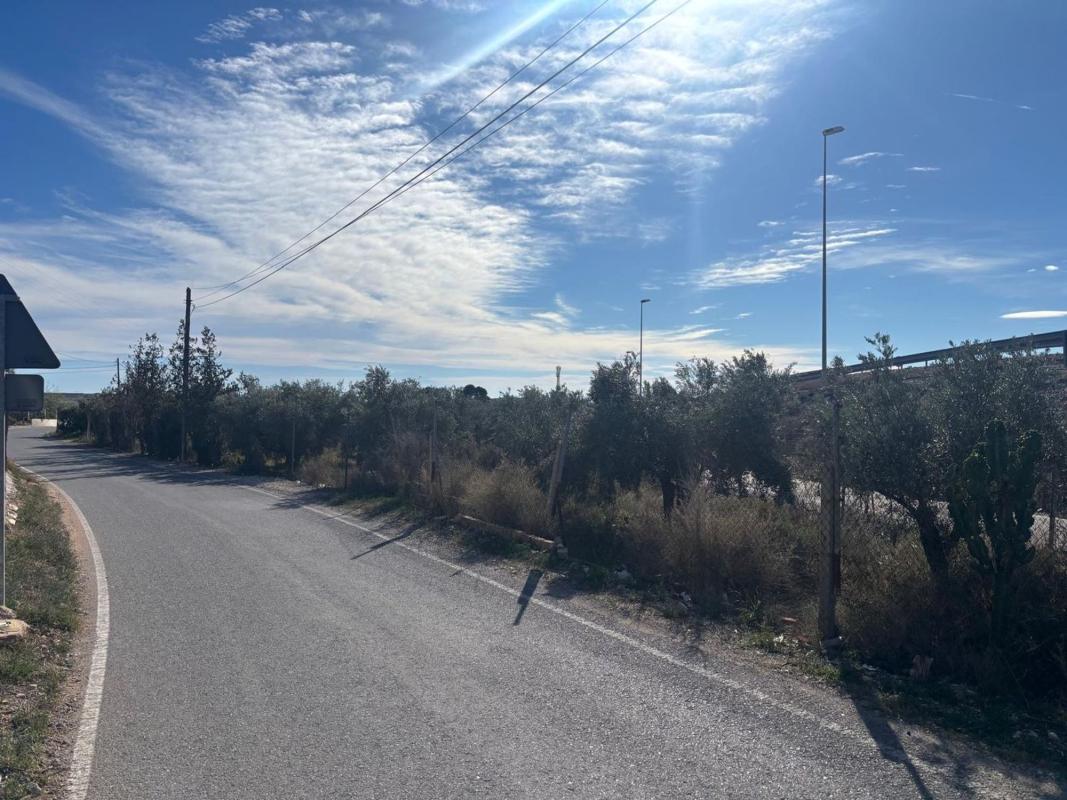Land for sale in San Vicente del Raspeig, Alicante photo 4