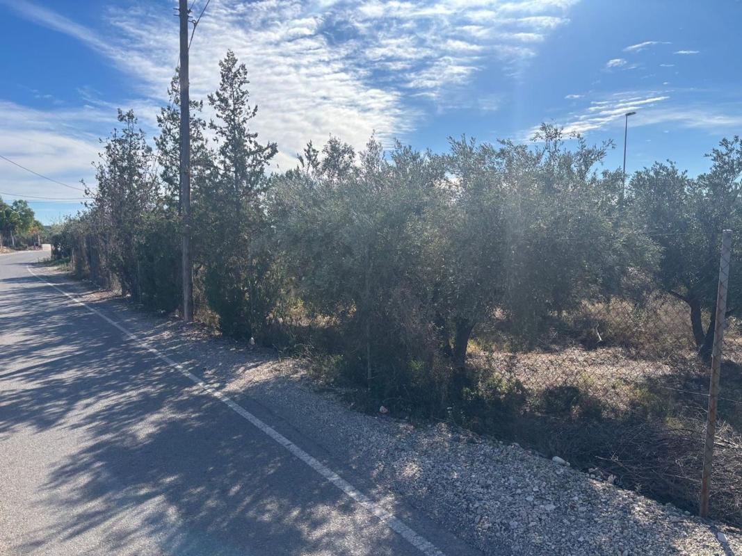 Land for sale in San Vicente del Raspeig, Alicante photo 5