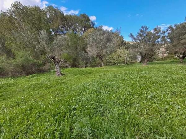Terreno en Cv-720, Alcalalí thumbnail 3