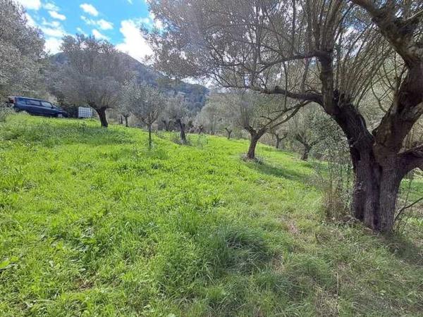 Terreno en Cv-720, Alcalalí photo 4