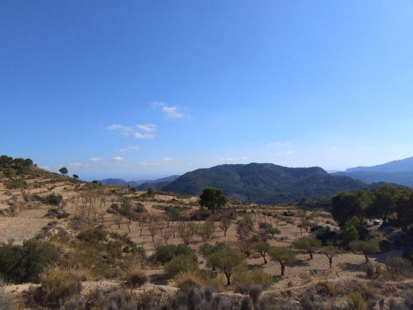 Terreno en Tibi photo 4