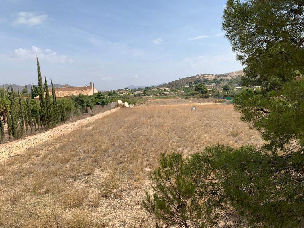 Terreno en venta en Aspe, Alicante photo 4
