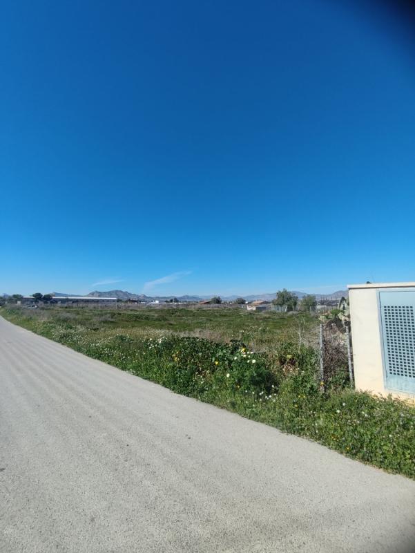 Terreno en venta en Aspe, Alicante photo 1