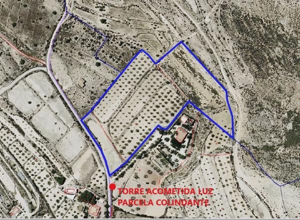 Terreno en Cañada Harina Pol-20 Parc-2, 20 CaadaHarinaPolParc, Monovar photo 1
