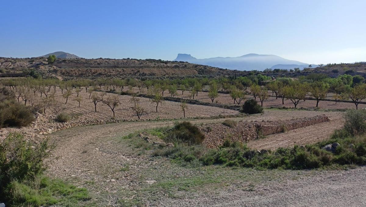 Działka na sprzedaż w Monowar, Alicante photo 4