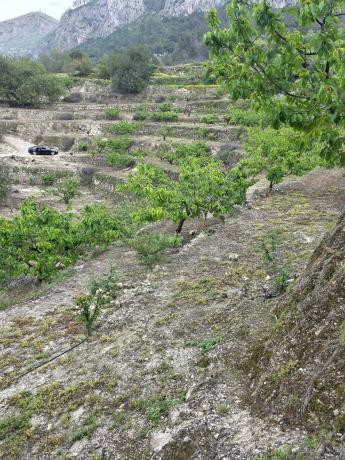 Terreno en Parcela 266, 266, Vall de Gallinera photo 1